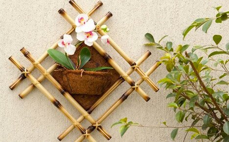 Vaso Com Bambu
